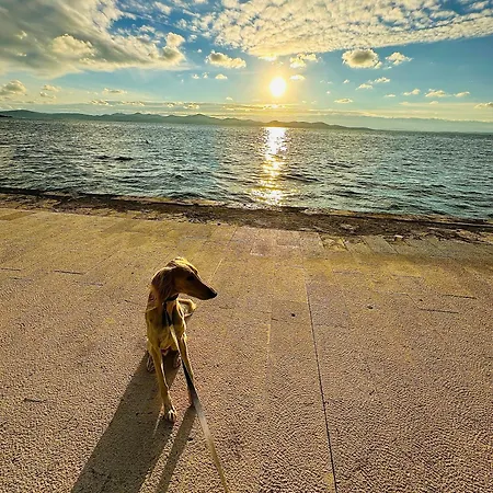 Donna * Zadar